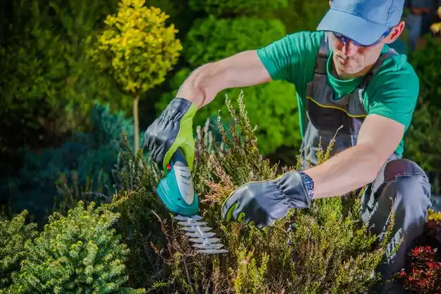 landscaping services Paul Smiths